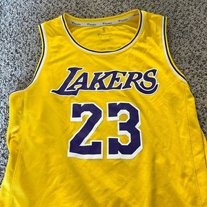 Lebron James Adult Medium Authentic Lakers Jersey